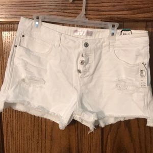 No Boundaries Short Shorts